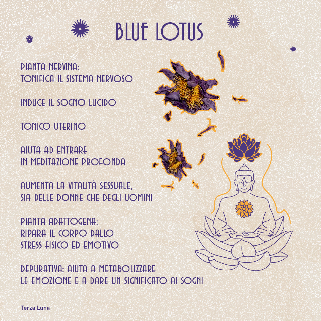 Proprietà del fiore di loto blu